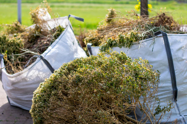 Best Electronics Removal Services  in Lodi, WI